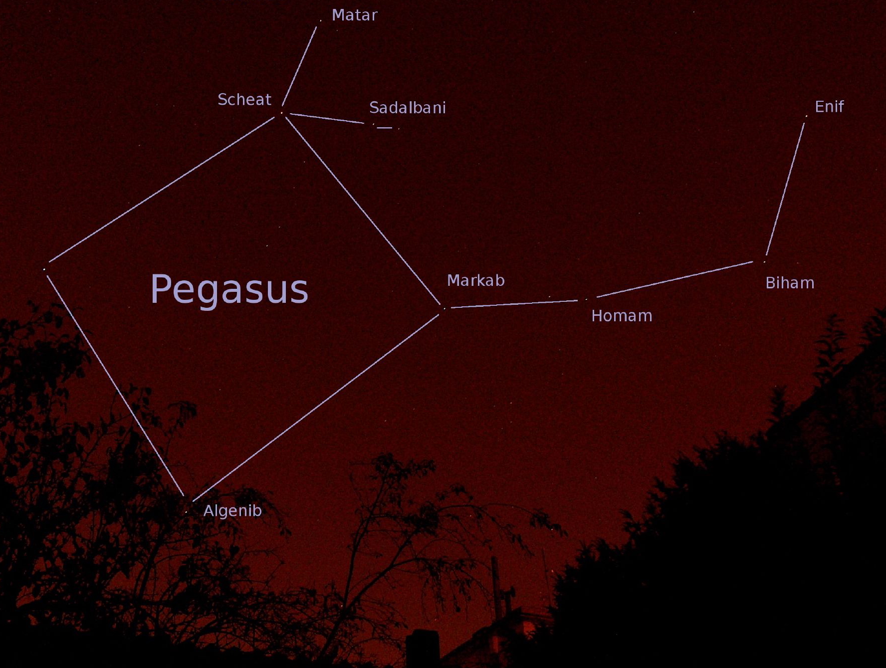 Resultado de imagen para PEGASO YATE CONSTELLATION